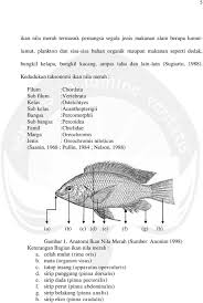 Perubahan mutu dan umur simpan ikan (suhu penyimpanan ikan; Ii Tinjauan Pustaka Yang Rendah Sering Kali Ditemukan Hidup Normal Pada Habitat Habitat Yang Ikan Pdf Download Gratis