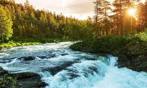 Tetapi juga harus konsen dengan menjaga kelestarian dan keseimbangan alam. Memelihara Ciptaan Allah Warungsatekamu Org