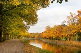 128,905 likes · 3,648 talking about this. Guide An Autumn Day At Royal Djurgarden Royal Djurgarden
