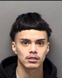 S.A. teen arrested after chase is suspect in woman's killing