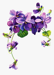 Lavender Flower Drawing Transparent Purple Flowers Border Png Png Download Kindpng 2250 × 323 px file format: transparent purple flowers border png