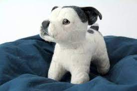 Pin On Ametican Bulldog