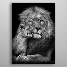 Baby Black And White Lion Pictures Lion With Baby Lion Poster Poster Print By Mk5 Studio Displate In 2020 Black And White Lion Lion Poster Baby Lion