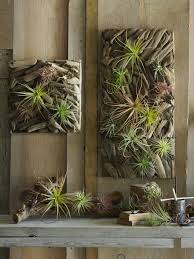 Gartenkunst Aus Treibholz Ein Naturliches Wirkungsvolles Dekoelement Pflanzenwand Wandgarten Pflanzen