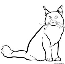 Color me | free adult coloring book for adults app has 100s of high quality coloring pages and books for you to color, paint, and draw on. Maine Coon Cat Coloring Pages Printable