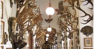 Konopiste Chateau Czech Republic Tschechien Jagd