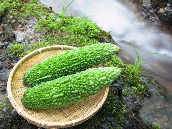 Image result for pregnancy me karela khana pic"