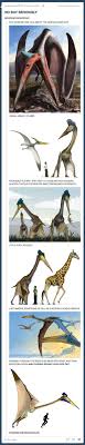 The Quetzalcoatlus Tumblr Funny Hilarious Funny Pictures
