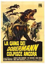 The doberman gang is a movie released in 1972 about a pack of dobermans trained to rob banks. Pin On Doberlove