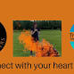 Reconnect with your Heart event image