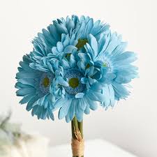 Evertsflowers.com domain is owned by everts flowers and its registration expires in 3 years. Gerbera Flower Arrangements
