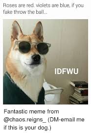 Funny Girl Memes And Reign Roses Are Red Violets Are Blue If You Fake Throw The Ball Idfwu Fantastic Meme From Ch Red Roses Funny Dog Memes Your Dog
