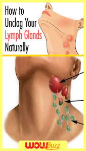 How To Unclog Your Lymph Glands Naturally Lymph Glands Lymph Massage Glands