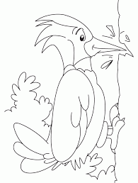 Coloring of coloring pages is very useful for girls, this occupation develops creative skills and learns to be accurate and assiduous. Woodpecker Coloring Page Coloring Home