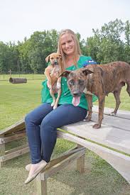 Maybe you would like to learn more about one of these? Something To Bark About