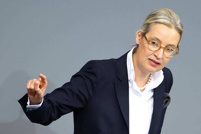 Musk interviewt rechts-radicale AfD-leider Alice Weidel op X: Europa kijkt  met argusogen toe | De Morgen