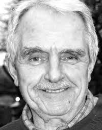 Stop work order halts marina project