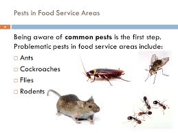 Common pests found in western new york state. Ipm For Food Service Staff Lesson 1 Of 2 Self Guided Training Module Ppt Download