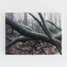 Bildergebnis für Robert Devriendt