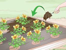 Maybe you would like to learn more about one of these? 3 Ways To Install A Weed Barrier Wikihow