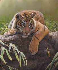 Eric Wilson Wildlife Artist Tiger Paintings Tiger Painting Tiger Artwork Tiger Art
