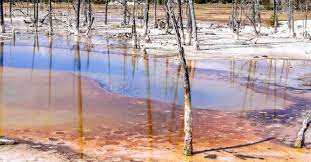 What Acid Rain Is And Ways To Restore The Damage It Causes