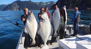 Seward Alaska Fishing Lodge Charters For Halibut Salmon Saltwater Safari Company