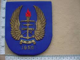 7041 sa army gymnasium blazer badge sa