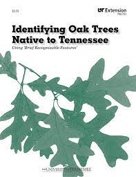 Learn vocabulary, terms and more with flashcards, games and other study tools. Identifying Oak Trees Native To Tennessee
