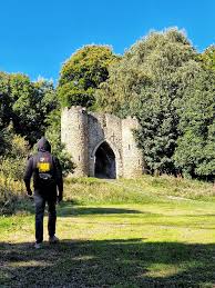 Image result for roundhay