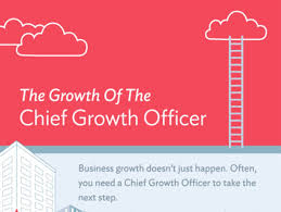The Growth Of The Chief Growth Officer Infographic Growth Officer Business Growth