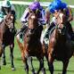 Cesarewitch Trial Day event in Newmarket