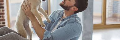 Prices depending on the sitter's service area relative to the pet owner. The 10 Best Overnight Pet Sitters Near Me With Free Estimates