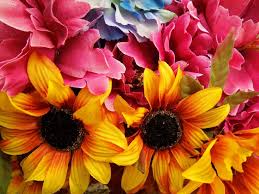 Αποτέλεσμα εικόνας για λουλουδια