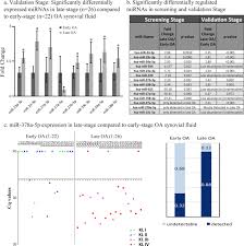 Identification Of Synovial Fluid Microrna Signature In Knee