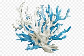 The graphics are a png file, 300 dpi, without background. Coral Reef Background
