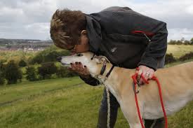 Check spelling or type a new query. When Your Pet Dies You Can Now Compost Taxidermy Or Make Them Into Jewelry