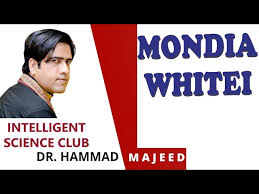 Image result for Mondia ecornuta