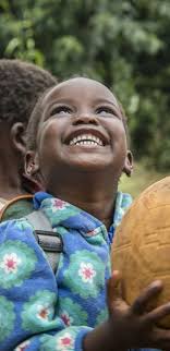 P rogress R eport 2017—2019