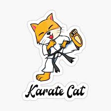 Its incredibly cheap price point reflects this, but it does not offer enough to. Karate Cat Gifts Merchandise Redbubble