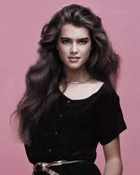 Brooke Shields Long Hair Styles Hair Styles Brooke Shields Une matière super healthy, des longueurs xxl, un volume gonflé à bloc : brooke shields long hair styles hair