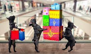 We did not find results for: The Best 2020 Black Friday Deals For Dogs The Dogington Post