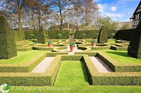 15th Century Box Tree Gardens Google Search Topiary Garden Little Moreton Hall Garden Trees