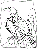 Then use the print function on your browser to print the active frame. Desert Animals Of North America Coloring Pages And Printable Activities 1