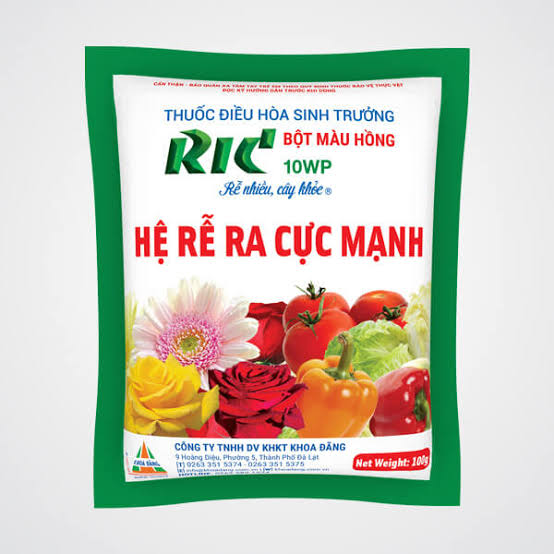 RIC 10WP