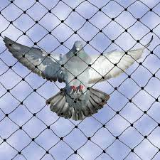 Check spelling or type a new query. Heavy Duty Bird Netting 3 4 Bird B Gone