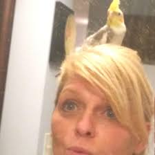 Lost Parrot in Moultrie Area