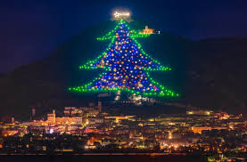 So it's quite apt that the name is given to the tallest tree in the world. Italy Lights Up The World S Largest Christmas Tree Wanted In Rome