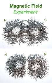 Magnetic Field Experiment Science Experiments Kids Science For Kids Magnets Science