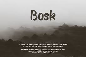 Download Bosk Font By Boris Garic Creative Fabrica SVG Cut Files